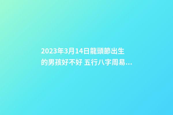 2023年3月14日龍頭節出生的男孩好不好 五行八字周易起名